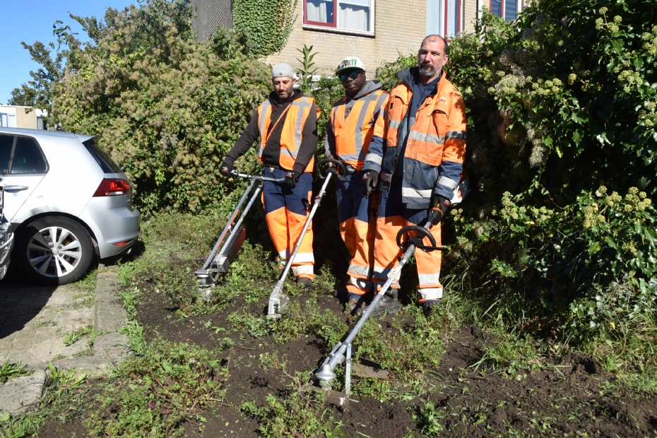 <Hoofdfoto Geen tekst>