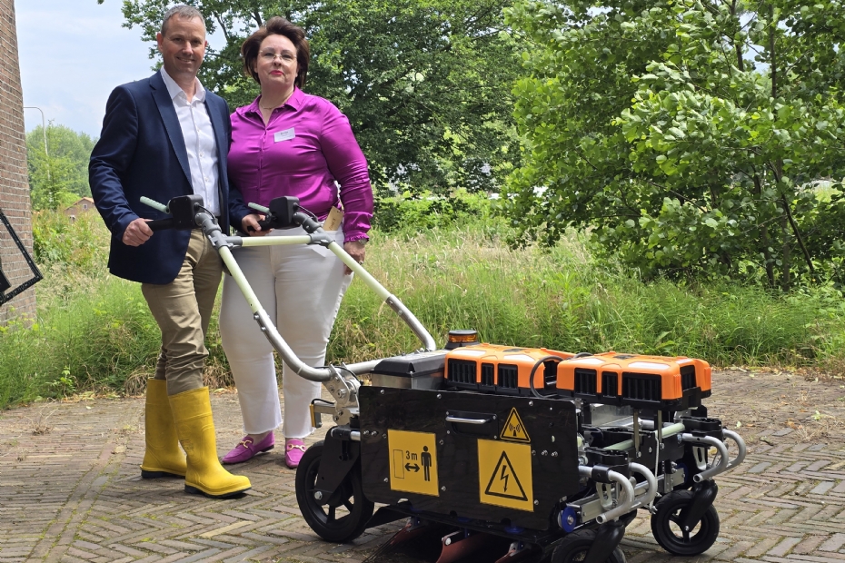 13 soorten onkruid herkennen én verwijderen - Gardeners World 13 soorten onkruid herkennen én verwijderen - Gardeners World