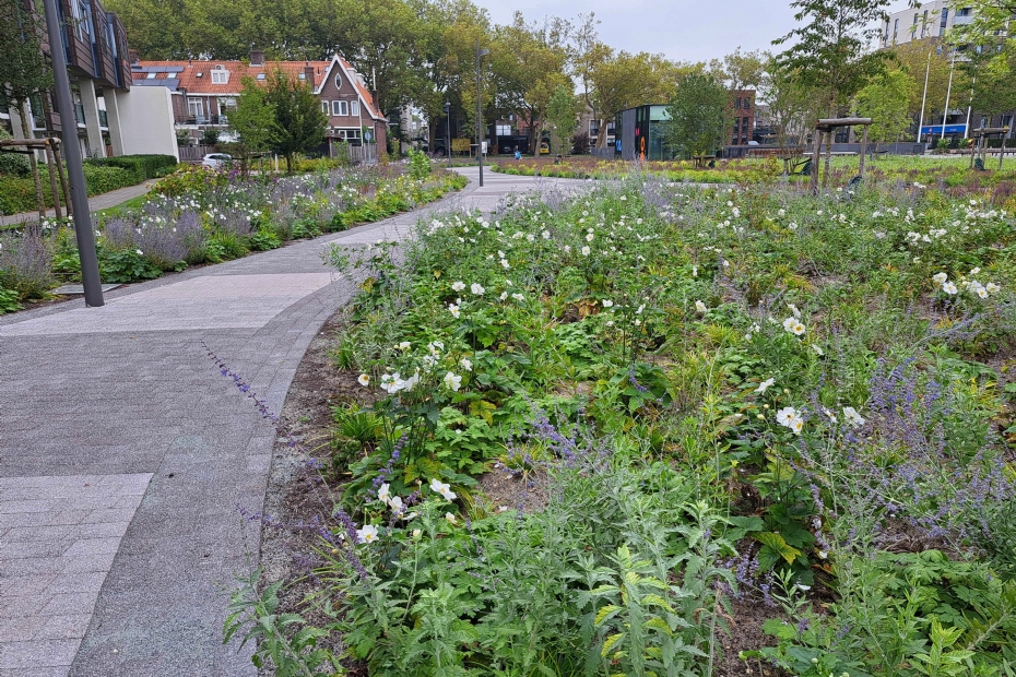 Het plein voor het gemeentehuis, met het daktuinsysteem eronder, is een mooi visitekaartje voor de gemeente Het plein voor het gemeentehuis, met het daktuinsysteem eronder, is een mooi visitekaartje voor de gemeente