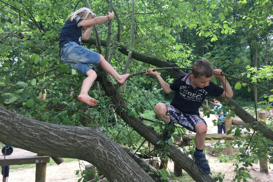Klimmen in bomen Klimmen in bomen