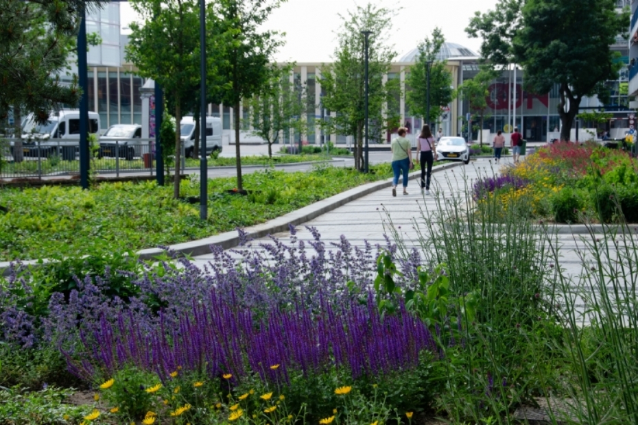 plein is verbonden met de omgeving met paden in hetzelfde verhardingspatroon