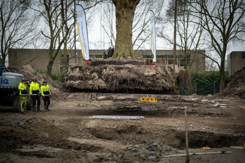 Beeld ter illustratie, via: Zoontjens Boomprojecten