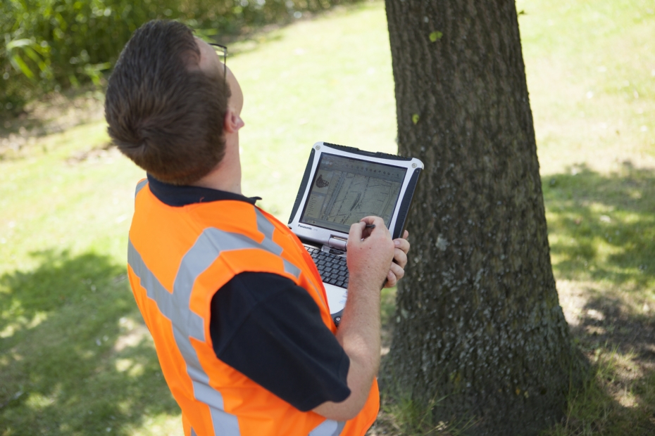 Beeld ter illustratie, via: IPC Groene Ruimte - Een data-inspecteur bomen in het werkveld