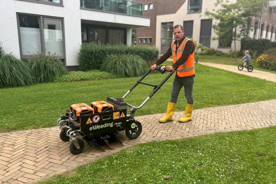 Daktuin Avenue 1895, Arnhem
