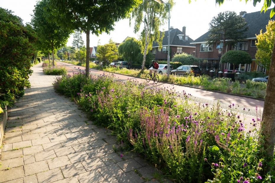 Bloomingfields-vasteplantenmatten