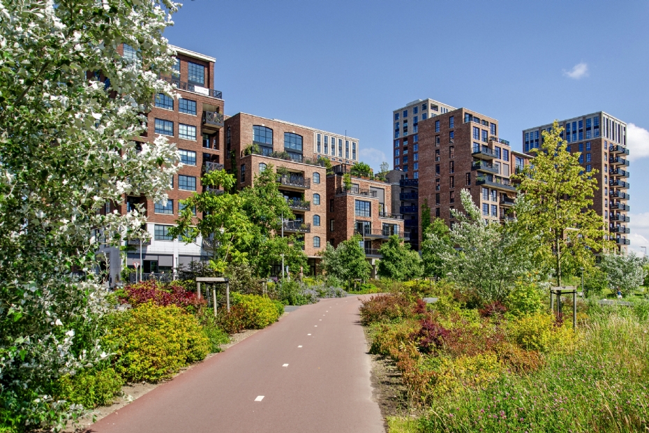 Groenprofessionals hebben de expertise in huis voor een gezonde, klimaatbestendige leefomgeving (Beeld via: Koninklijke VHG)