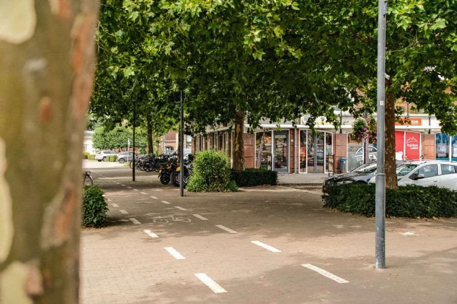 Het plein is al ruim 20 jaar vrij van wortelopdruk