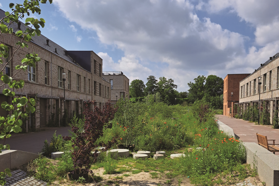 Wadi Hof van Holland in Nijmegen: een mooi voorbeeld van een klimaatadaptieve en autoluwe straat waar de leefbaarheid vooropstaat. Je ziet hier wat minder bekende oplossingen van Struyk Verwon Infra, zoals sierpoefjes als stapstenen in de wadi en Solid-parkbanden.