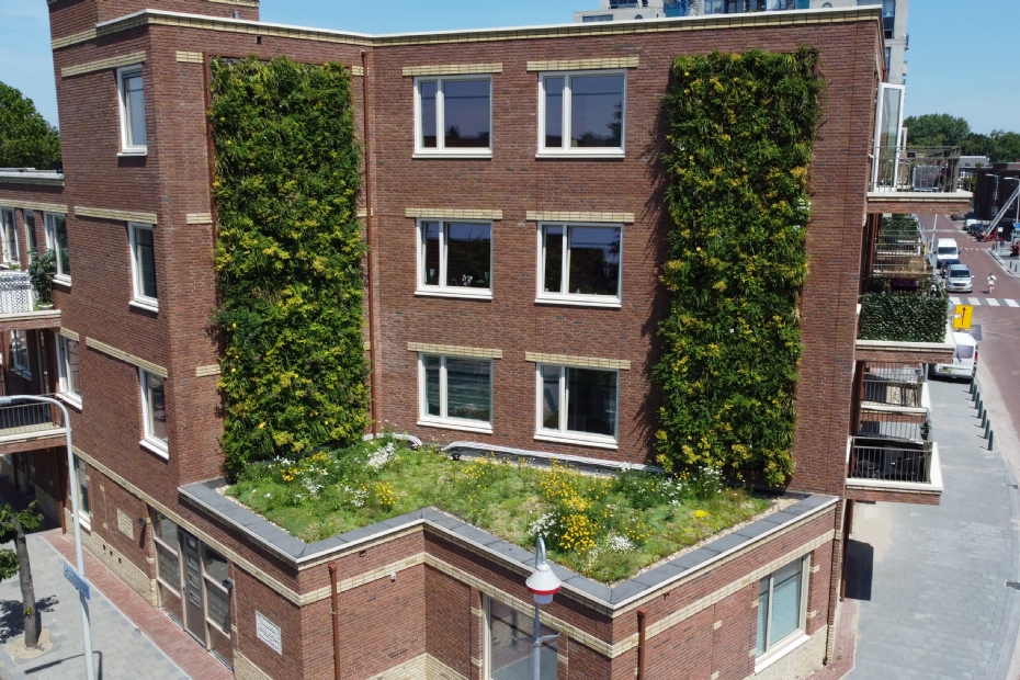 De groene gevels en het Sedum-kruidendak dragen bij aan de lokale biodiversiteit. Foto Sempergreen
