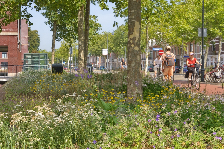 Living Landscape in Haarlem