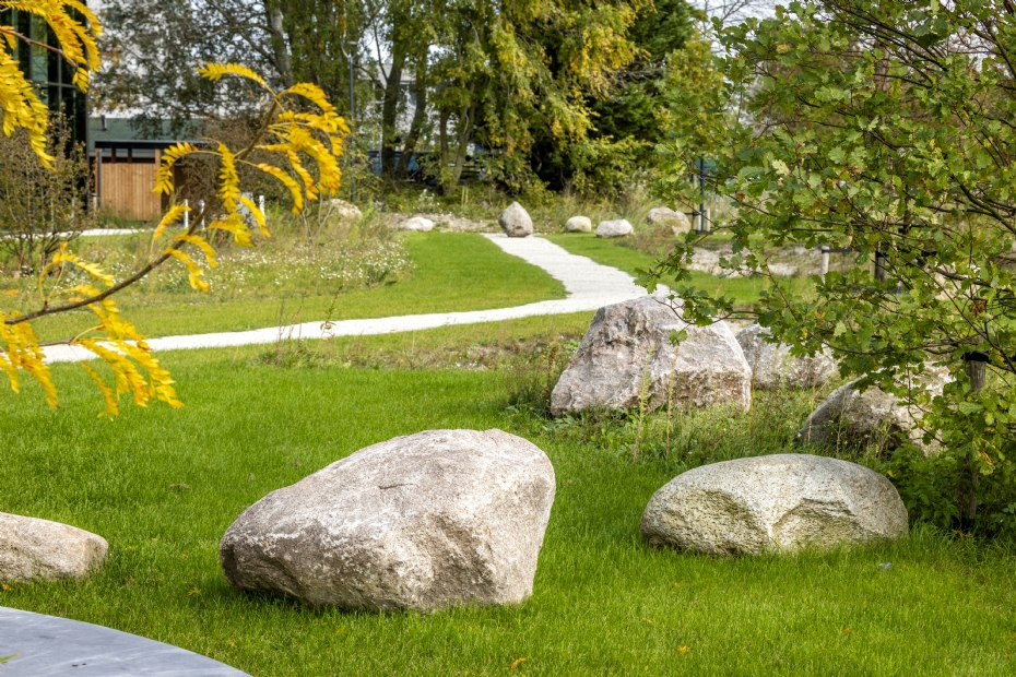 De groene strook versterkt de verbinding tussen gebouw en omgeving - (foto: Cojan van Toor Fotografie)