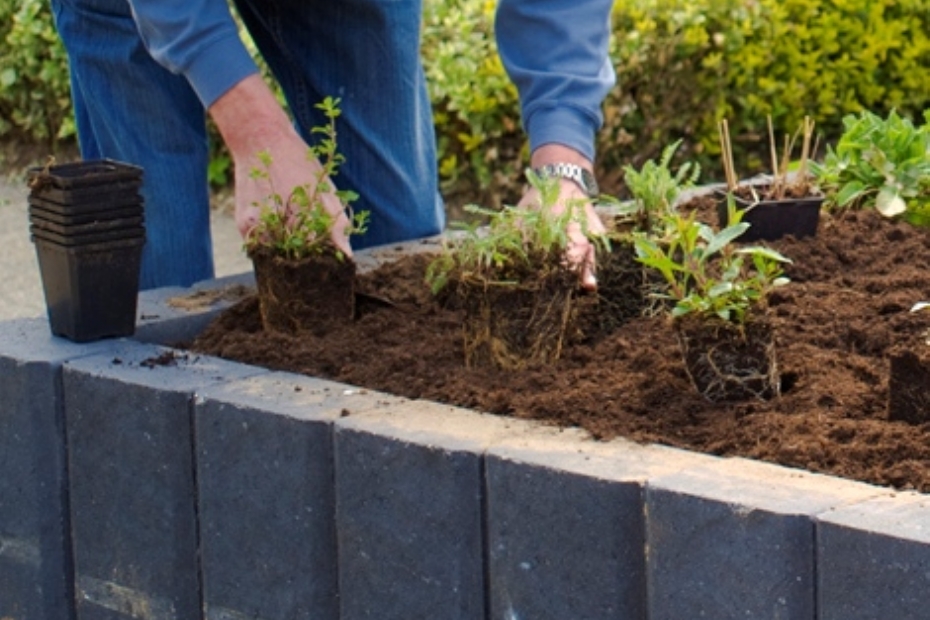 Beeld ter illustratie: participatie