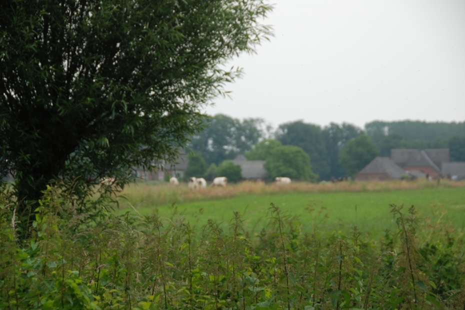 Beeld ter illustratie