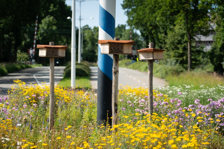 Living Landscape, rotonde juni 2025