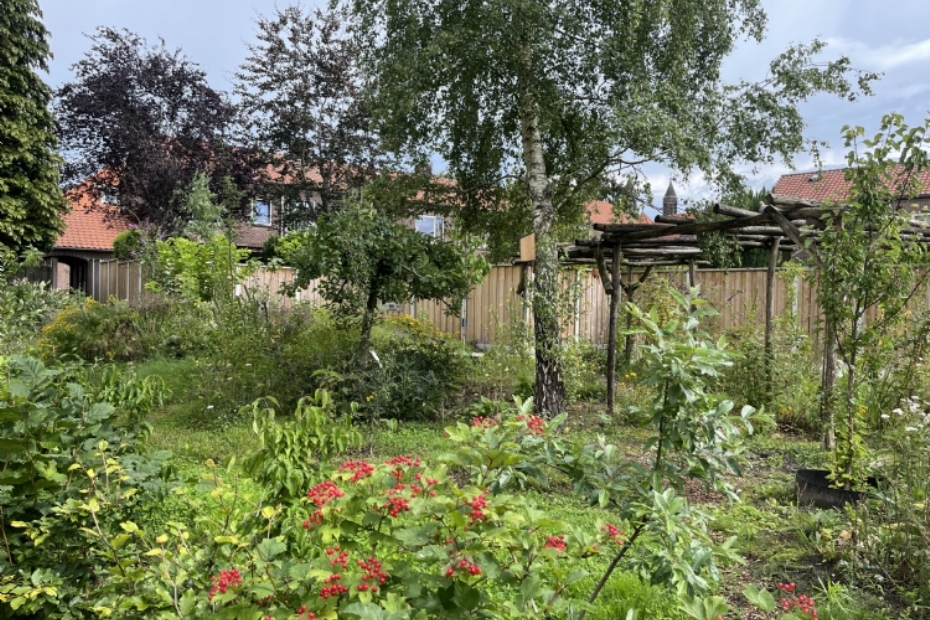 Resultaat na een groei seizoen