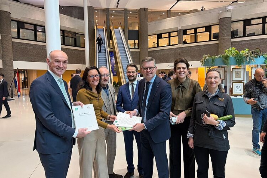 Beeld via: Bomen, Vaste planten & Zomerbloemen