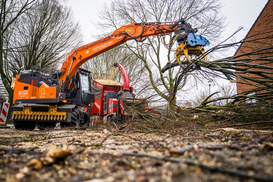 Mechanisatie en innovatie met oog voor duurzaamheid is de toekomst van het bomenvak.