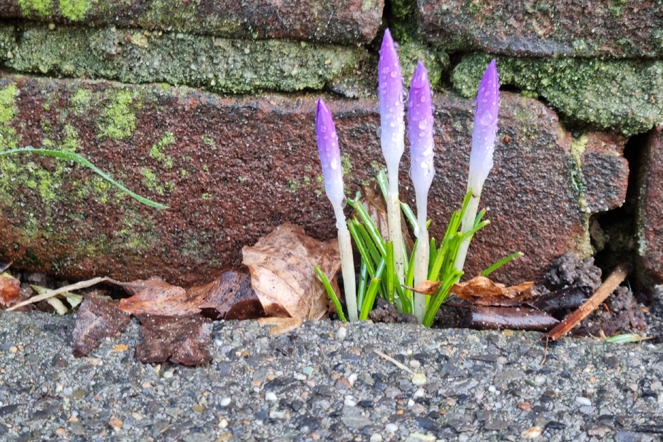 Beeld ter illustratie Beeld ter illustratie