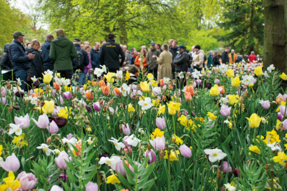 Beeld via: JUB Holland