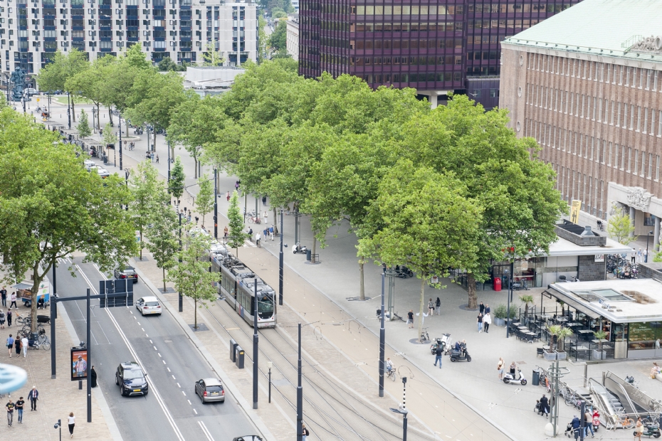 Archiefbeeld ter illustratie en via: Greenmax - Coolsingel in Rotterdam