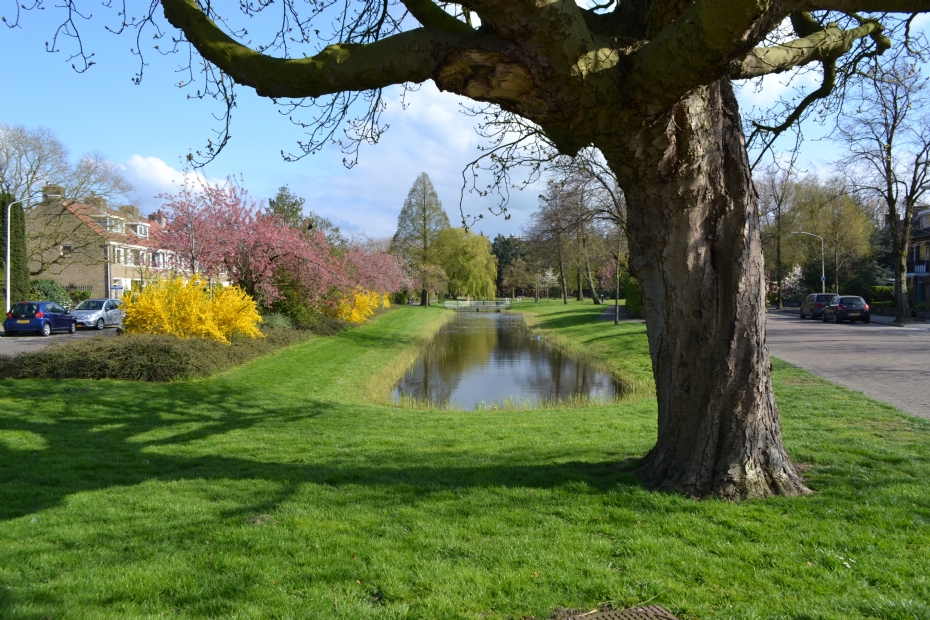 Leiden, beeld ter illustratie