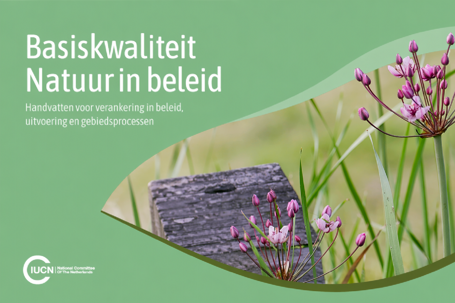 Basiskwaliteit Natuur in Beleid