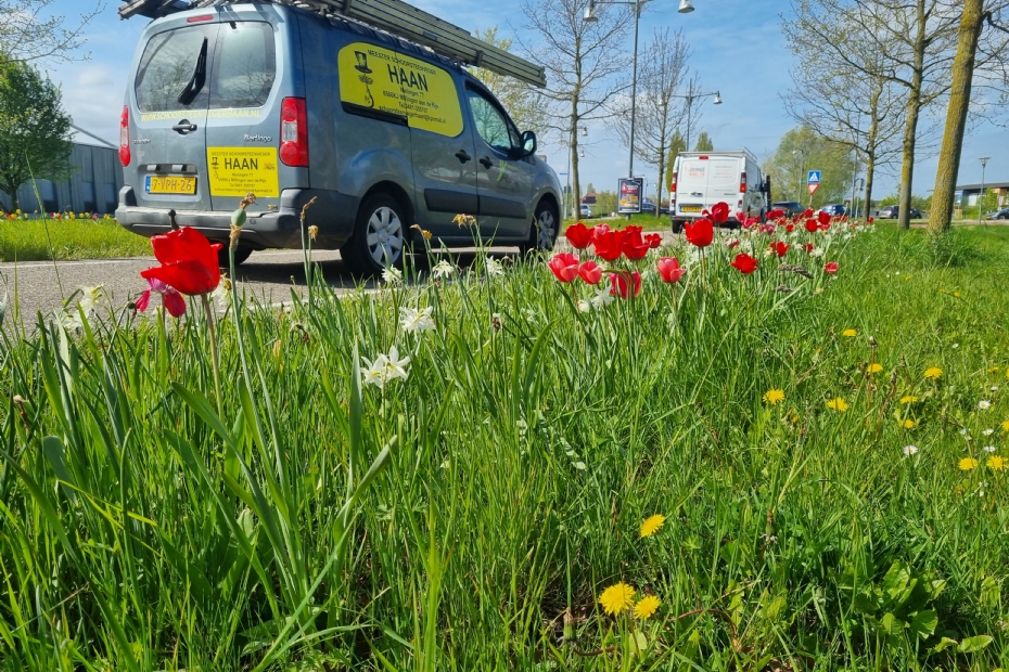 Beeld NWST, ter illustratie