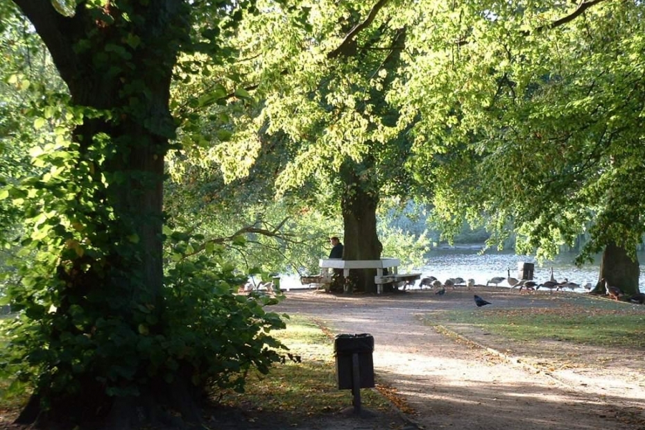 Park, beeld ter illustratie