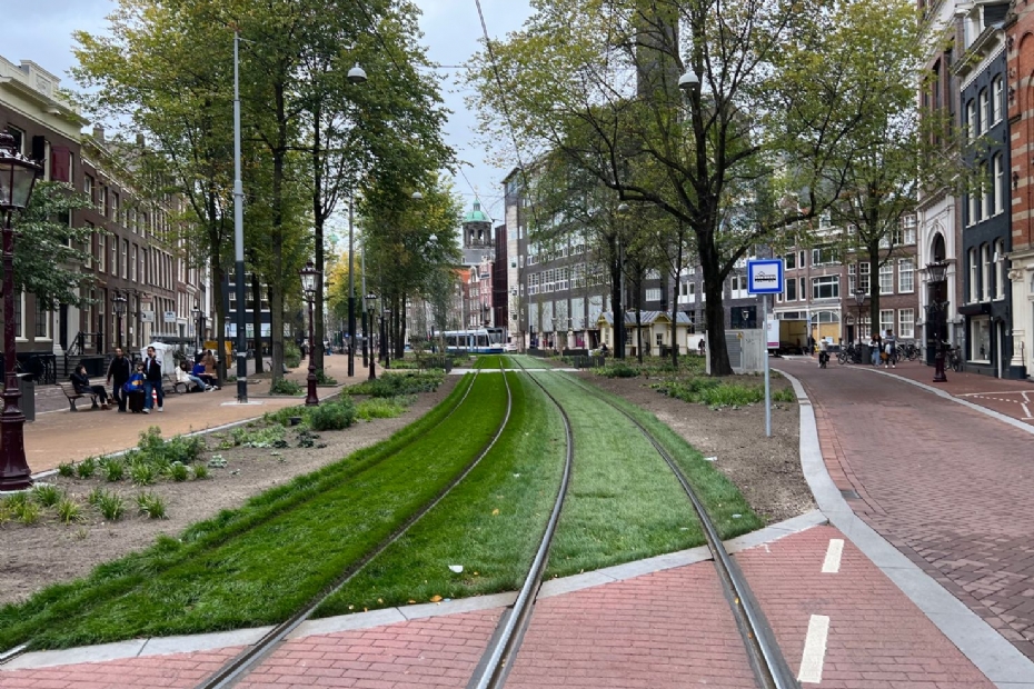 Een 'klimaatadaptieve' trambaan in Amsterdam (Foto: ISB studiegroep bomen)