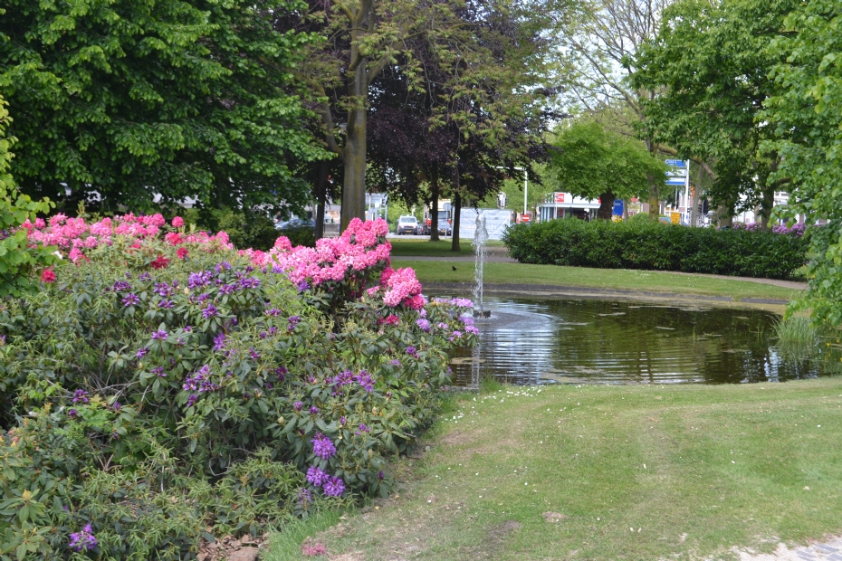Openbaar groen op het Keizer Karelplein in Nijmegen
