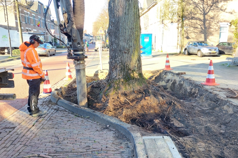 Vergroening in actie: de Rielerweg in Deventer is met veel groen en bomen omgevormd