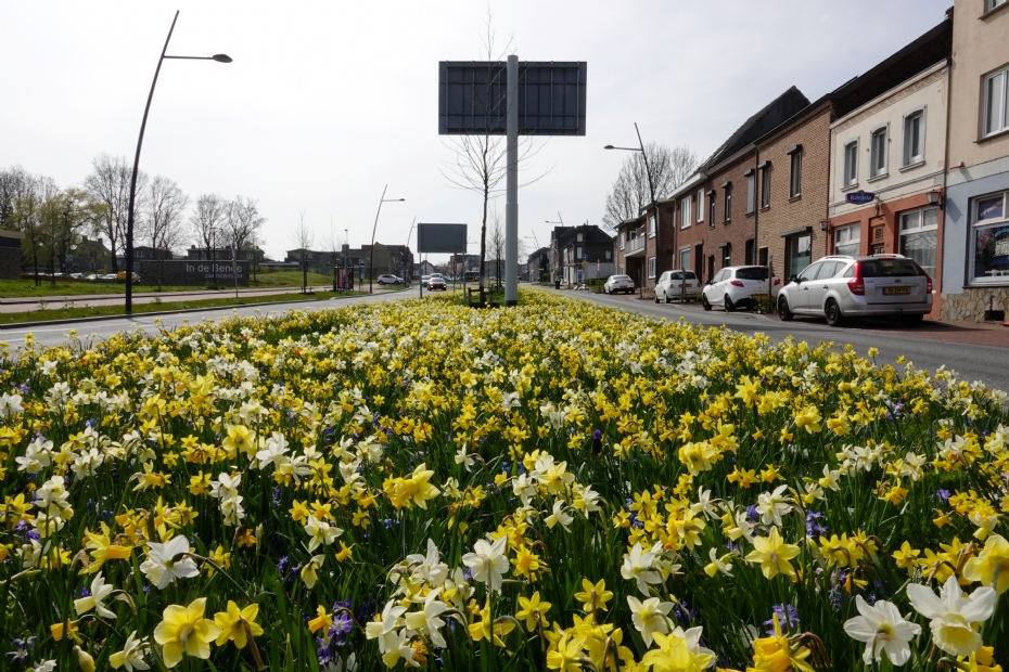 De kleurrijke entree in Landgraaf in vol ornaat De kleurrijke entree in Landgraaf in vol ornaat