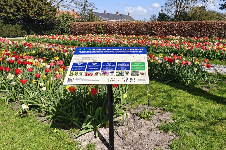 Goede communicatie, daar pluk je de bloemen van