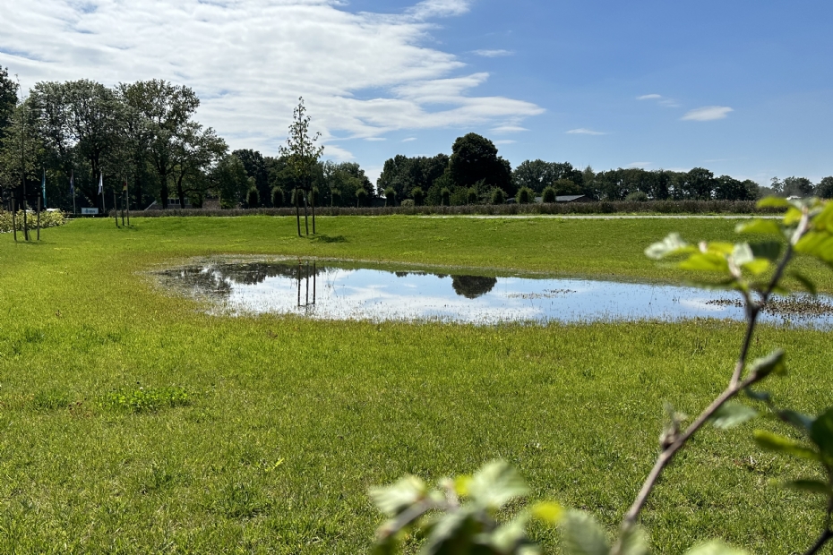 Een wadi met EUROGRASS Campino