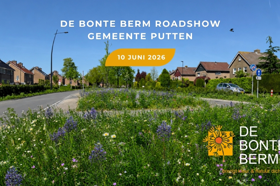 <geen titel>