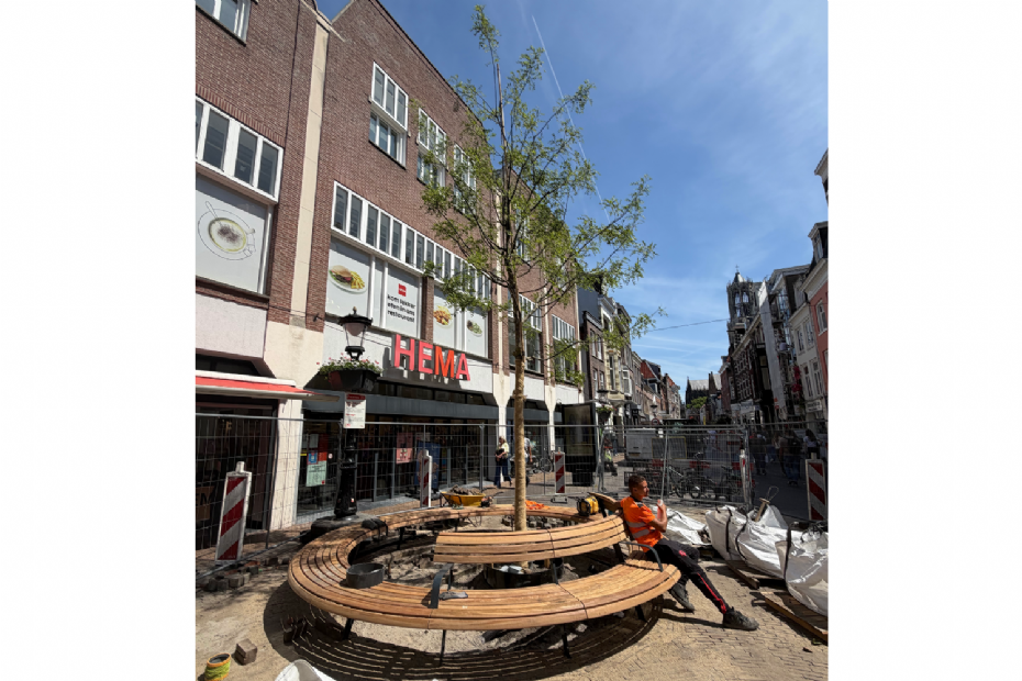Het eindbeeld van de T-splitsing is bijna af. laatste straatwerk en dan de onderbeplanting aanbrengen