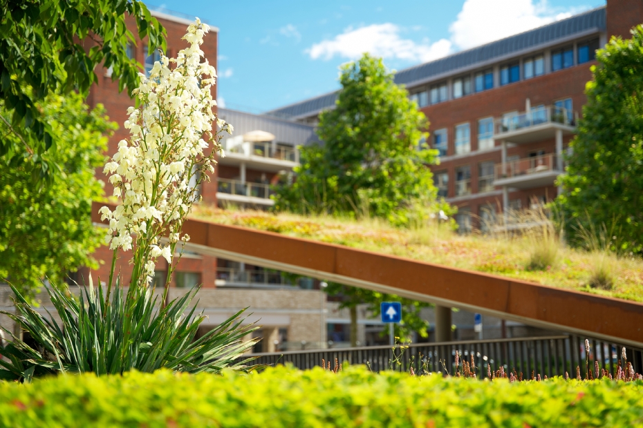 Beeld via: Stichting Dutch Green Building Council (DGBC)