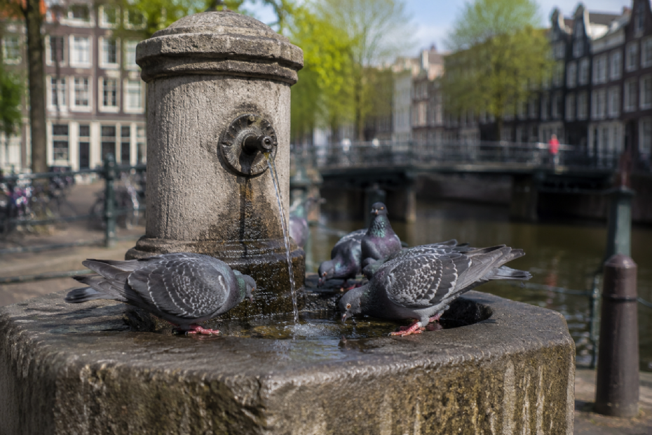 Beeld ter illustratie, gegenereerd met AI