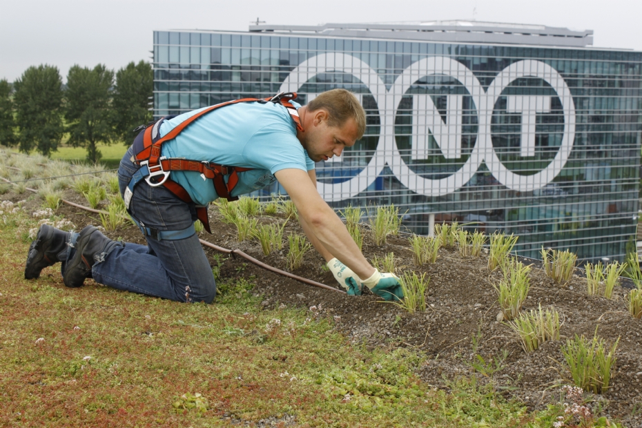 Archieffoto inplanten Daktuin BSH Groep in Park 2020 Amsterdam