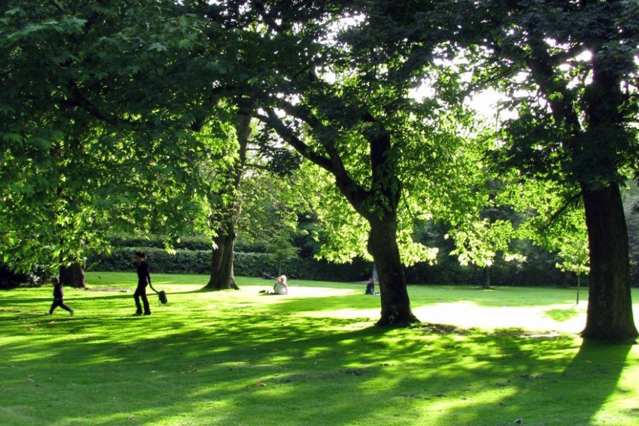 Stadsgroen