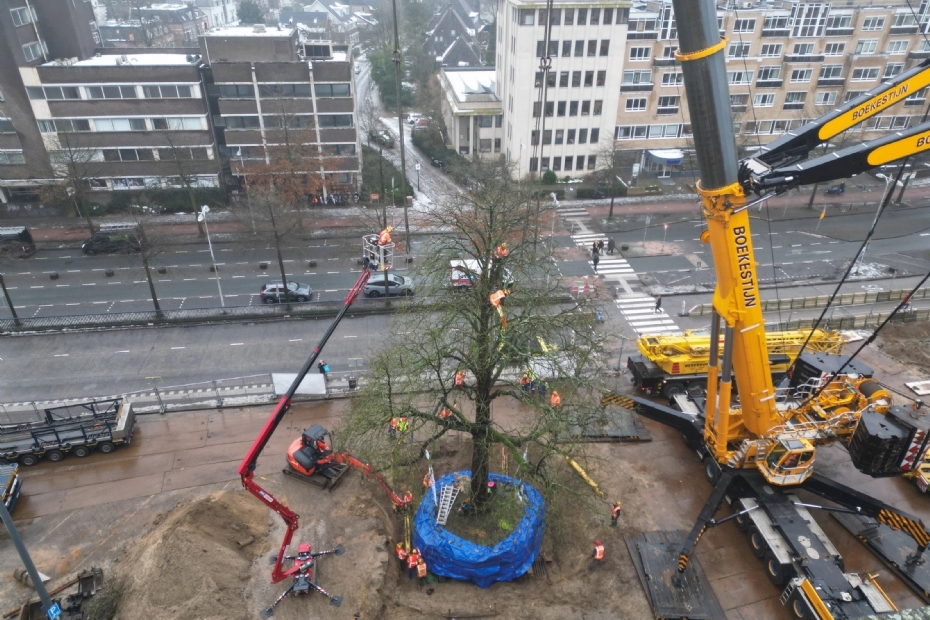 Boomspecialisme is één van de vier disciplines waarin Hoefakker actief is. Hier: verplanting van een boom in Amersfoort. Foto: Hoefakker/Aneo Koning Boomspecialisme is één van de vier disciplines waarin Hoefakker actief is. Hier: verplanting van een boom in Amersfoort. Foto: Hoefakker/Aneo Koning