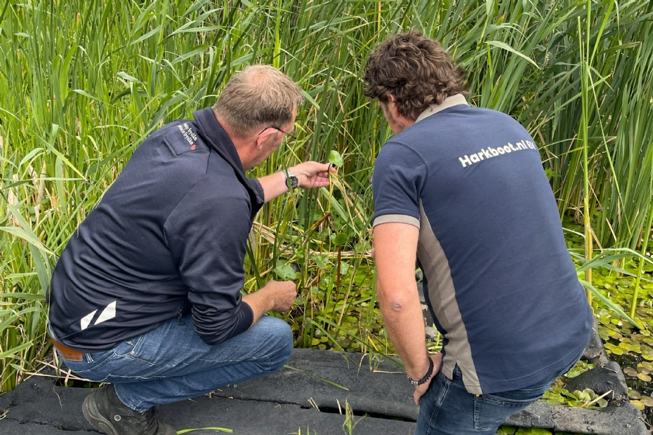 Op locatie beoordelen De Vries en Van der Wal de aanpak van de exoot