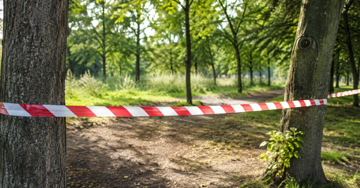 Afghaanse duizendknoop aangepakt op Vliegbasis Soesterberg