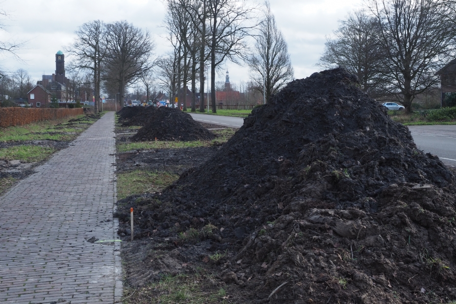 Voorbereidingen voor de aanplant