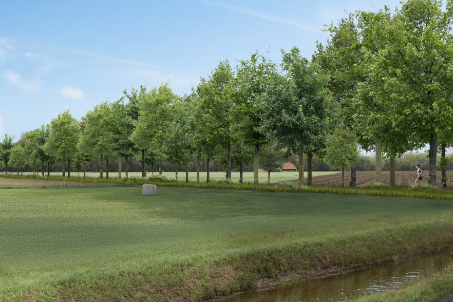 Laanbeeld bij 1-op-1 vervanging: open landschap met verschillende boomsoorten en verjonging Laanbeeld bij 1-op-1 vervanging: open landschap met verschillende boomsoorten en verjonging