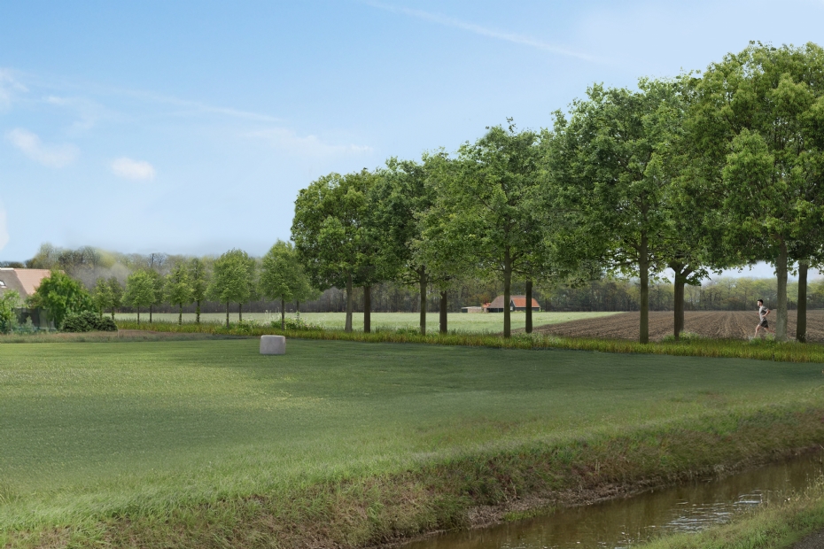 Laanbeeld bij segmentsgewijze vervanging: open landschap met eenduidige beplanting en verjonging met een nieuwe soort