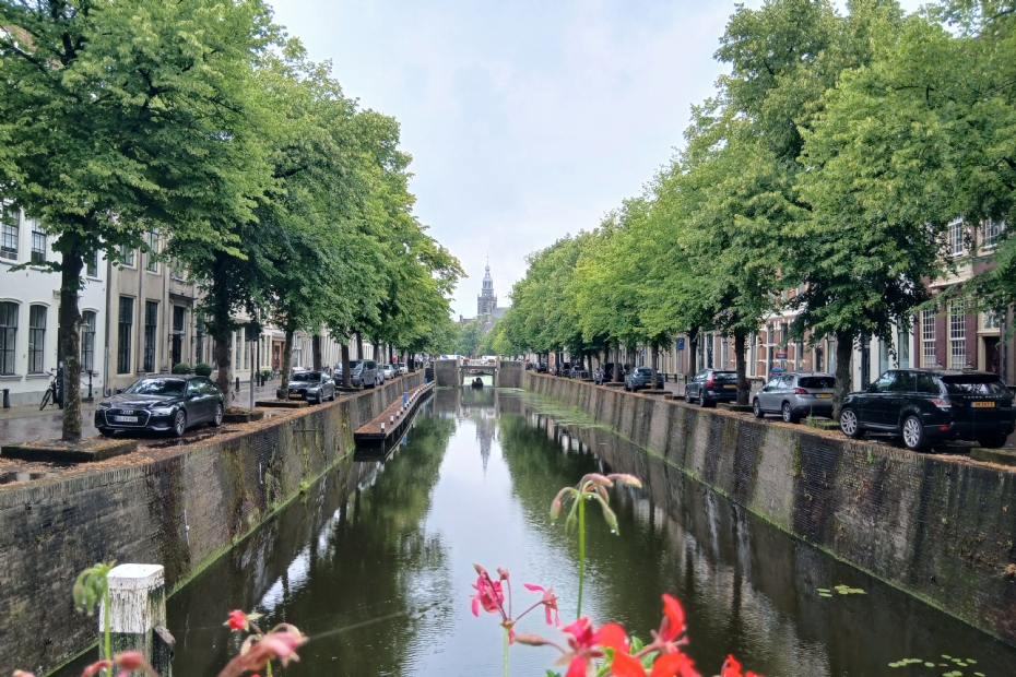 Gouda kiest voor een gestructureerde aanpak van boomvervanging