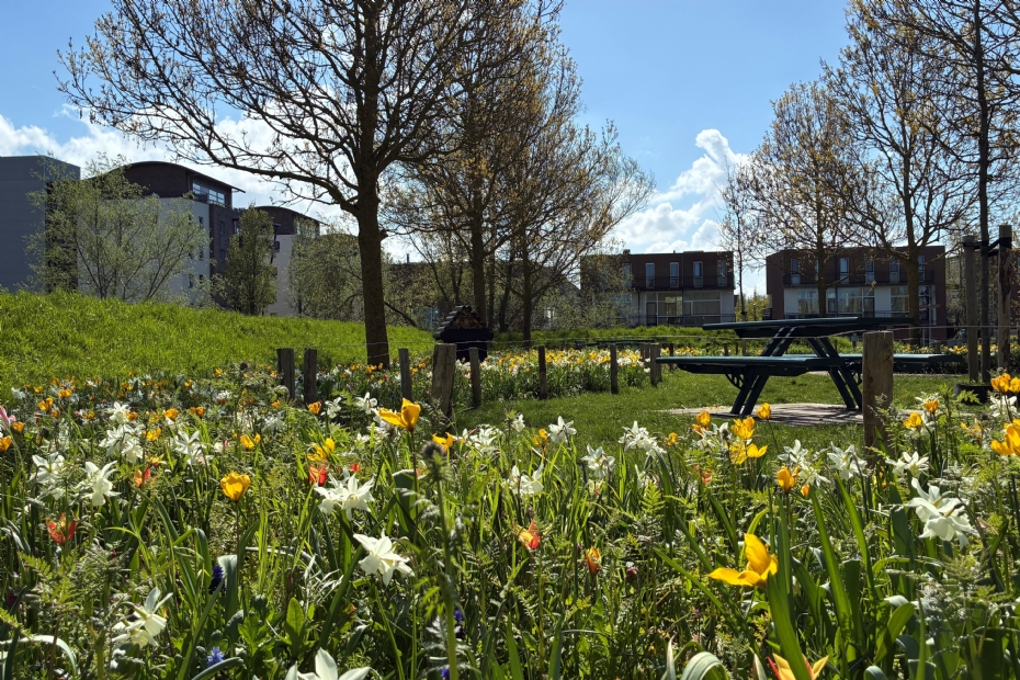 Vroege voorjaarsbloei in het Vroege Vogelspark
