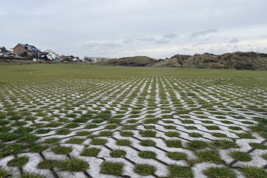 Grastegelsubstraat in Zandvoort