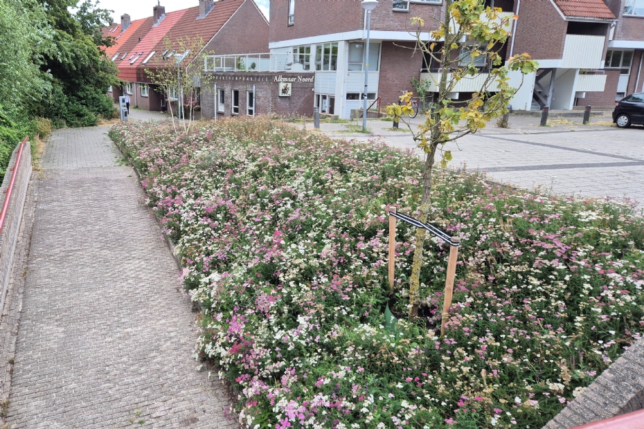 Vogelweg in juli 2026 (bron: Paul Weidema)